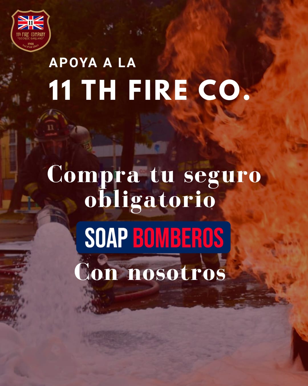 WhatsApp Image 2026-02-19 at 16.03.28